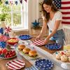 Independence Day Plates 10 Count Patriotic Disposable Party Dinnerware