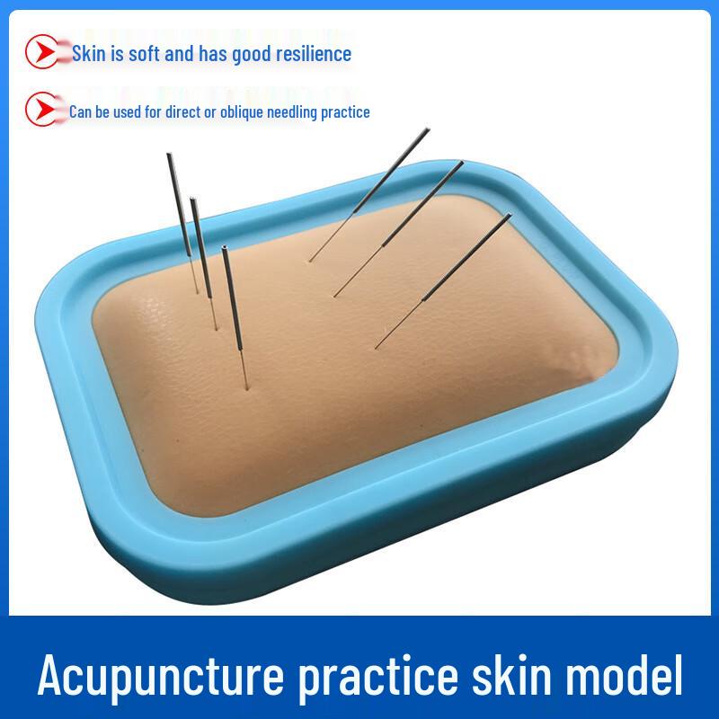 Acupuncture Practice Skin Model for TCM Students