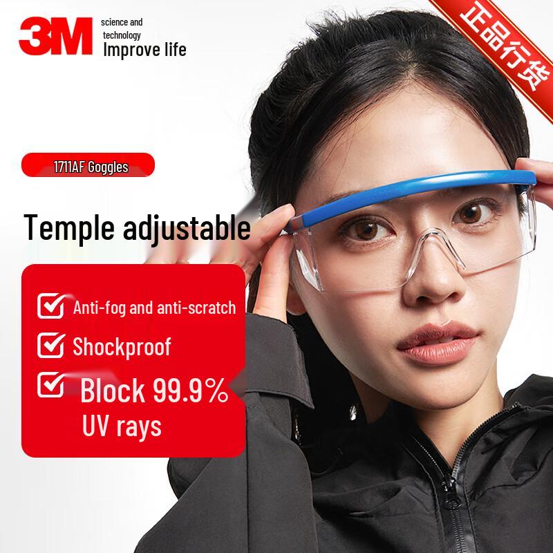 3M 1711AF Anti-Fog Safety Goggles Standard