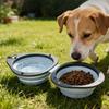 Double Bowl Collapsible Dog Dish Portable Puppy Food Container Pet Food Water Feeding Tray  Outdoor