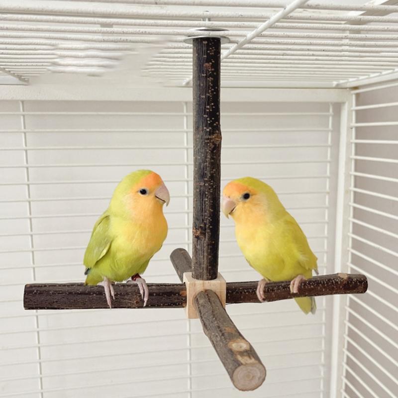 Bird Perch Nature Molar Stand for Parrots Conure Supplies Budgies Grinding Scratchers for Small Medium Parrots Toy
