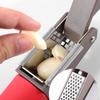 Stainless Steel Garlic Press Ginger Mincer,Household,Lightweight,Professional Portable Kitchen