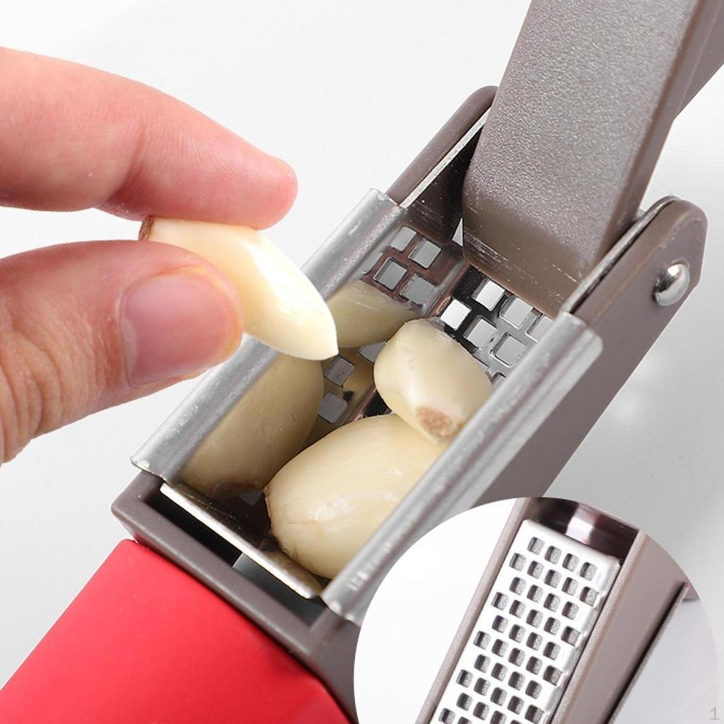 Stainless Steel Garlic Press Ginger Mincer,Household,Lightweight,Professional Portable Kitchen