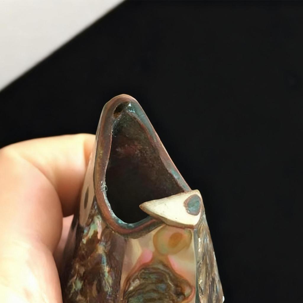 Flaskeåpner Vintage Skalldyrdekorasjon Kjøkken Sjøskjell Flaskeåpner for Hjemmebar Innendørs Utendørs Fest Samling Leilighet