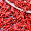 2/5pcs Red Crab/Lobster Charms For Jewelry Making Supplies Ocean Animal Pendants Glass/Enamel DIY Earrings Keychain Beach Charm