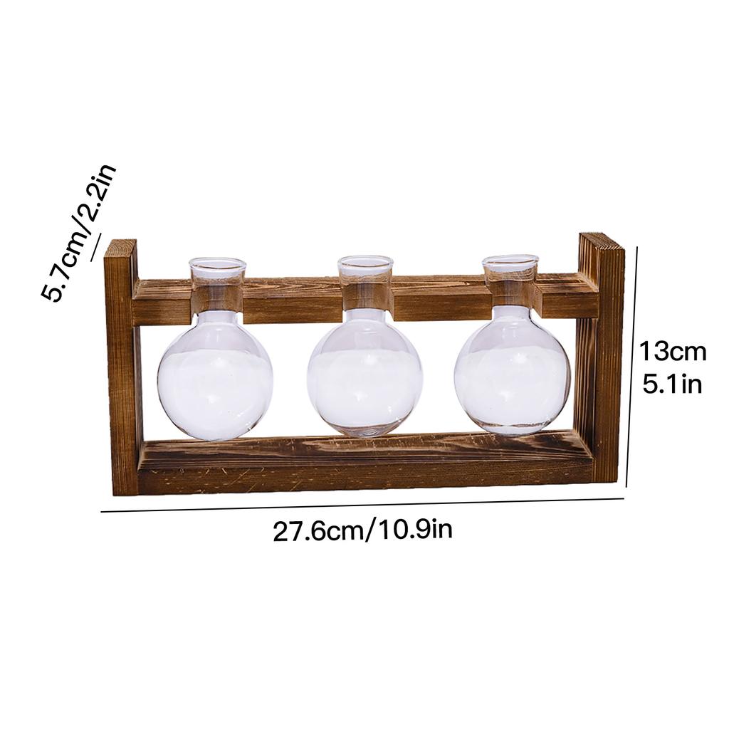 Wooden Stand Hydroponic Glass Vase Set for Pothos 3 Round Bulb Bottles with Clip Frame