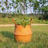 Seagrass Woven Storage Basket Foldable Flower Plants Basket Home Garden Decor Organizer With Twine