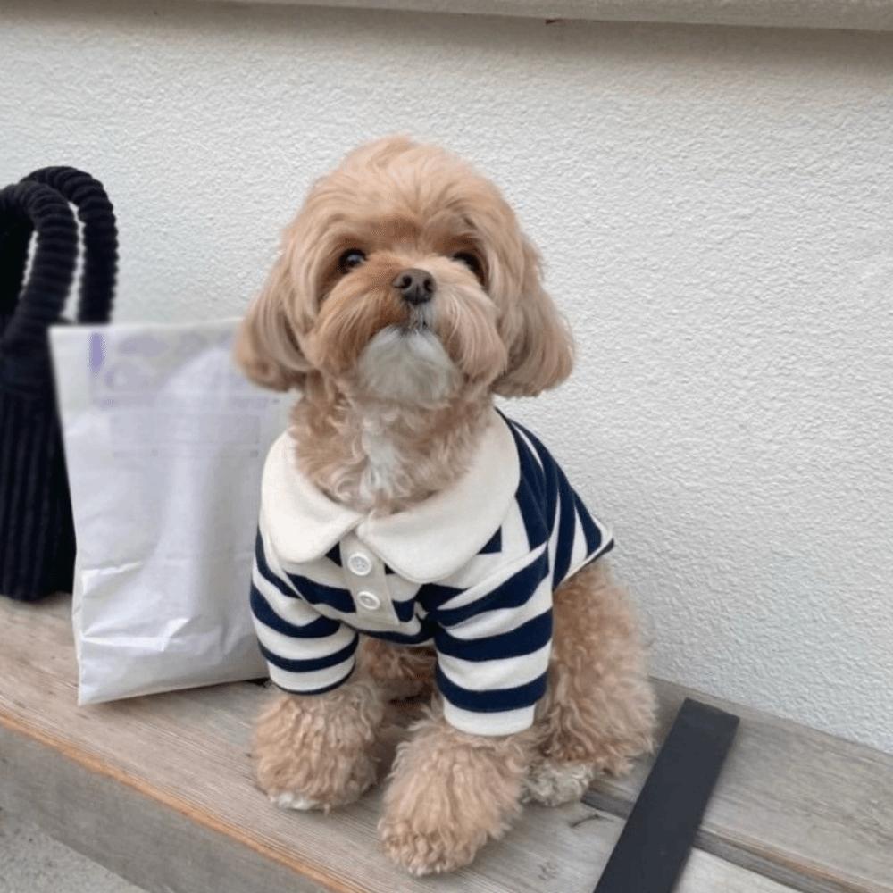 Breathable Dog Thin Shirt Collared Style Dog T Shirts Fashion Dog Striped Shirt Kittens Wear