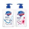 Safeguard Antibacterial Hand Wash (420g x 2)