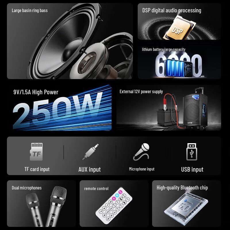 SAST Outdoor Portable Bluetooth Karaoke Speaker with Microphone CN plug (adapter included)