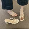 French Niche Thick Heel Cool Slippers Outer Fairy Shoes Summer 2025 New Thin Strap Middle Heel with Skirt Sandals