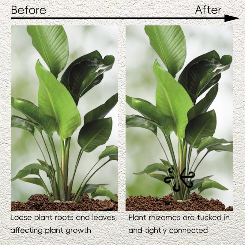 Reusable Plant Stem Folding Frame Garden Tools No Stake Trellis Plant Stem Support Branches Stem Organizer Gardening Tools 4pcs