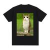 Cat Owl Funny Meowl Meme Brainrot T-shirts Men's Women Clothing Fashion Harajuku Short Sleeves T-shirt Cotton Oversized T Shirts