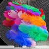 Mixed Color Chicken & Peacock Feathers for DIY Ornaments, Handicrafts, and Handmade Clothing Accessories.