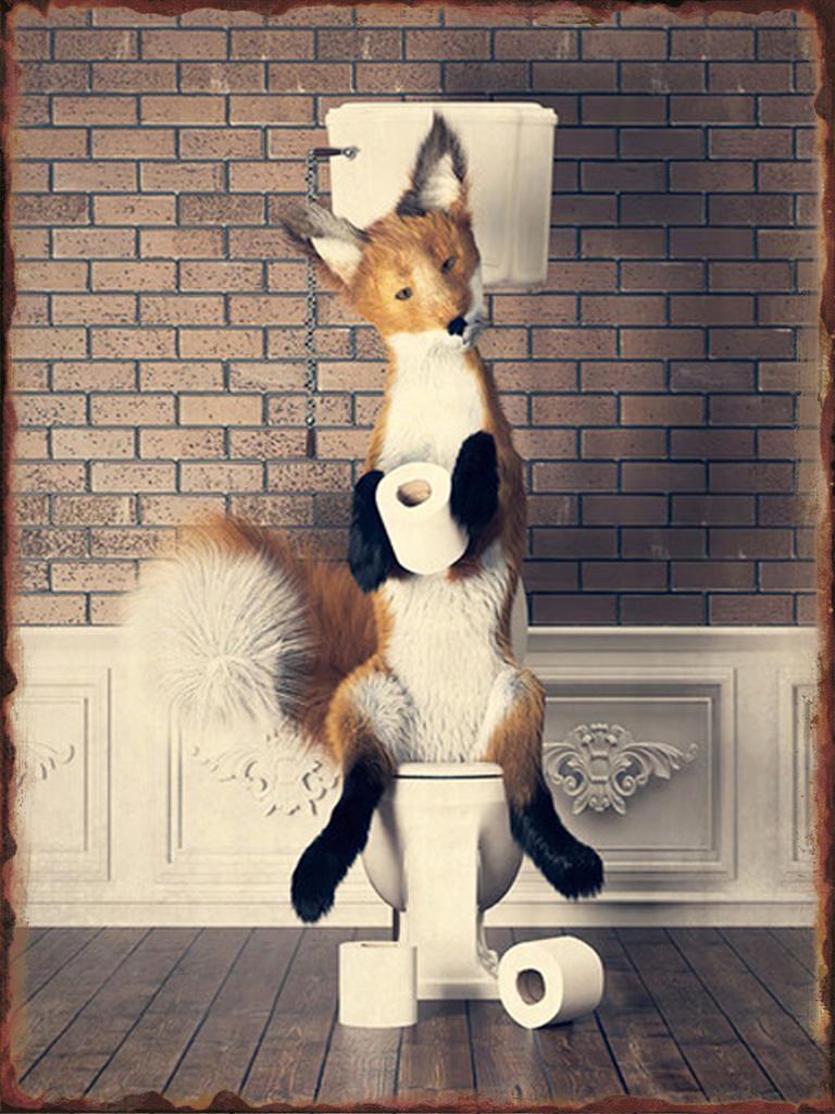 Toilet Animal Funny Metal Tin Signs Home Bathroom Wall Art Decoration Public Lavatory Plaques Restroom Plate Background Poster