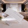 Birthday Party Balloon Hoop With Air Ring For Celebration Venue Decor