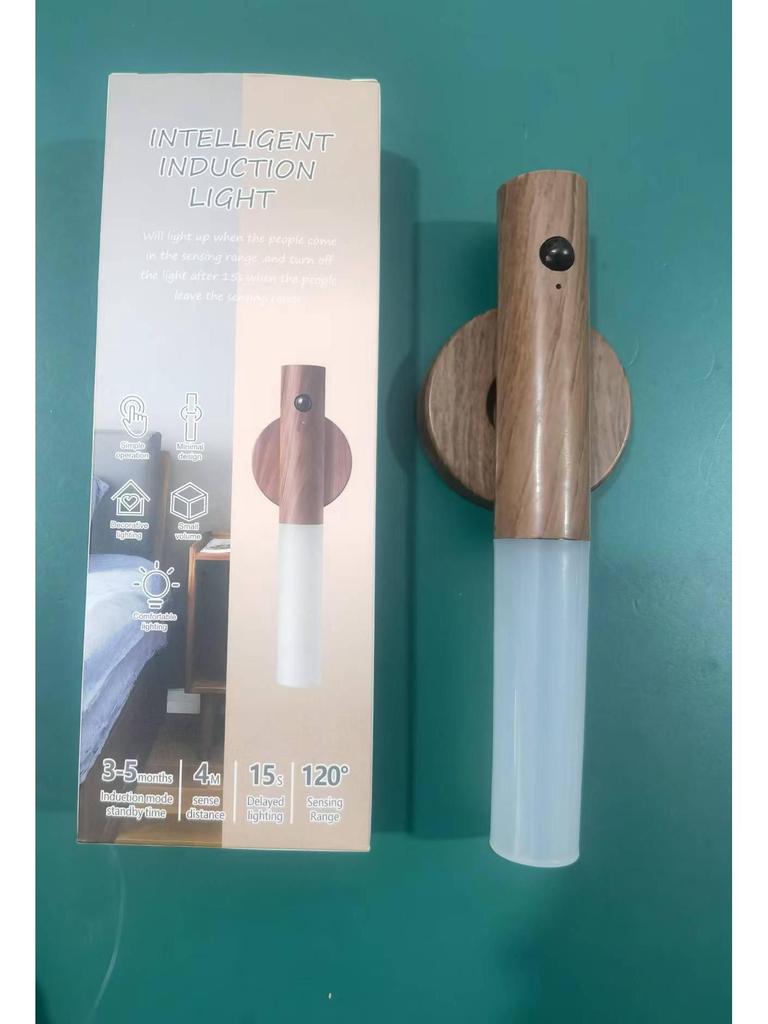 Rechargeable Dual-Use Motion Sensor Magnetic Wall & Night Lamp