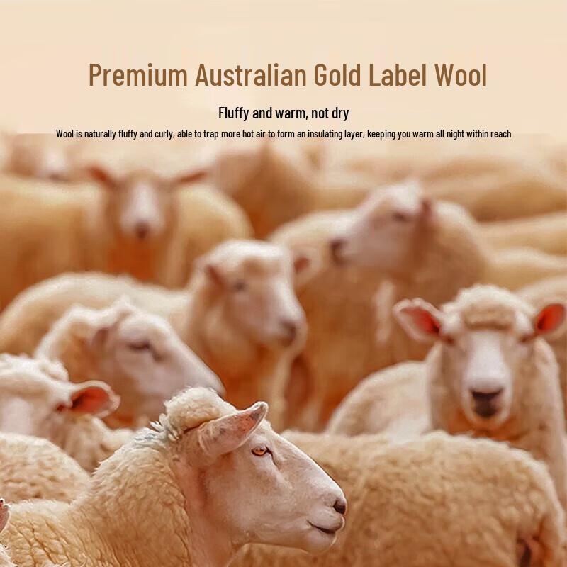 Mengjie Home Textiles Antibacterial Australian Wool Four Seasons Quilt