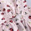 Spring and Summer Clothes Pet Flower Skirt Dog Clothes Love Skirt Kitten Puppy Clothes Summer Skirt