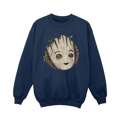 Boys I Am Groot Wooden Head Sweatshirt