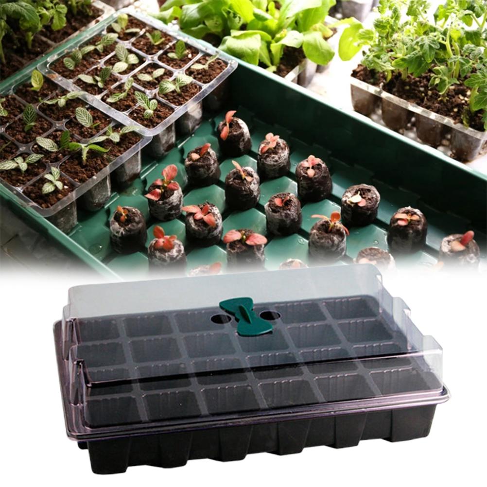 Gewächshaus Anzuchtschale 24 Zellen Anzuchtbox mit Deckel Pflanzen Anzuchtschalen für Anzucht Keimung