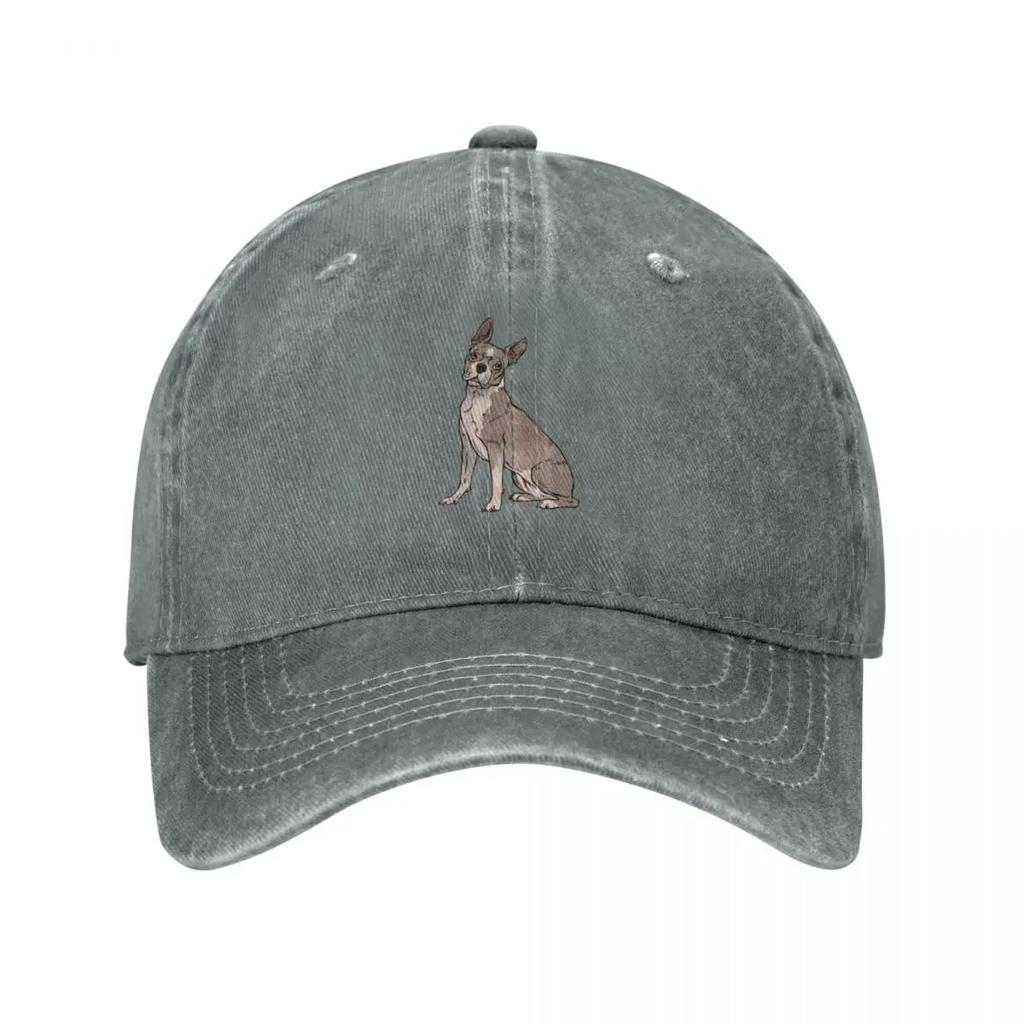 Lilac Boston Terrier Sitting Baseball Cap Hood Birthday Sunscreen New In The Hat Womens Hats Unisexs