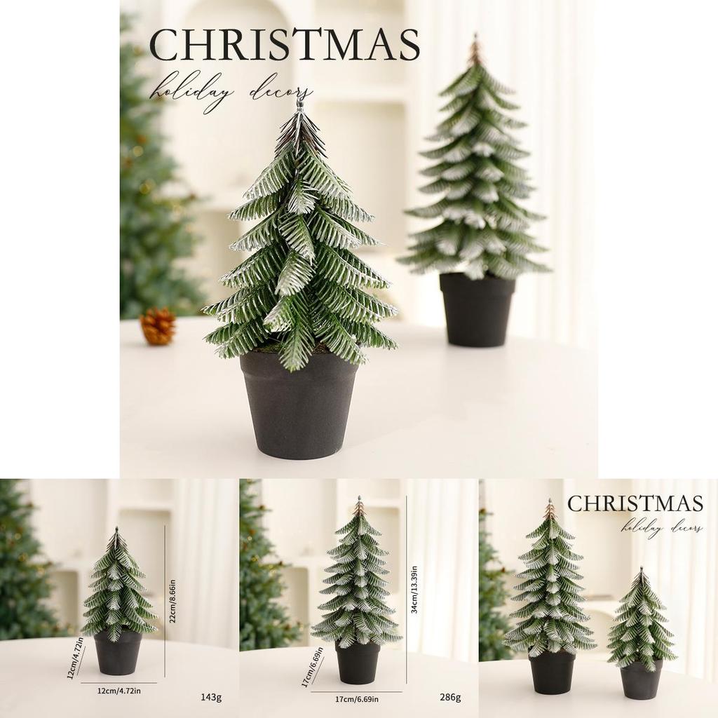 Abies Procera Rehder Holiday Christmas Tree Ornament With Pe Finish For Home Celebration Decor