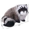 Animal Model Simulation Raccoon Model Realistic Simulation 3D Raccoon Raccoon Figure  Art Craft