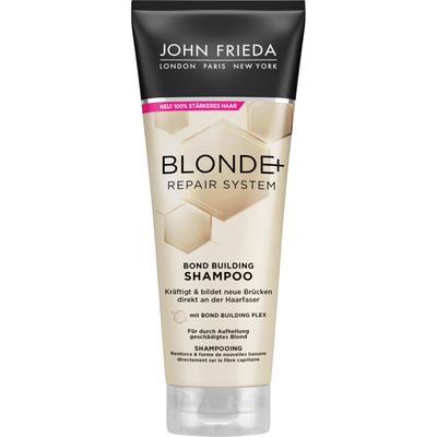 Champôs e condicionadores para cabelo – Shampoos
