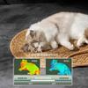 Kedi Tırmalama Tahtası Rattan Mat Tahtası Kedi Tırmalama Tahtası Tırnakları Bilemek İçin Kazıyıcı Kediler Ağaç Kedi tırmalama direği Kanepe Matları Mobilya Koruyucu