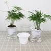 Stylish and Functional Automatic Water Absorption Flower Pot for Indoor Plants