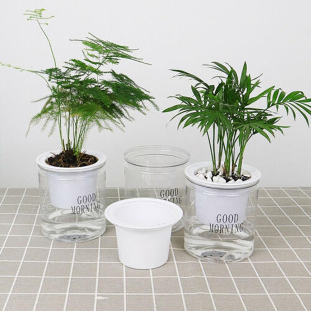 Stylish and Functional Automatic Water Absorption Flower Pot for Indoor Plants