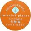 Kijapan Interior Green Artificial Plant with Photocatalytic Treatment, Sugar Vine, 26 x 20 x H17cm (MR)