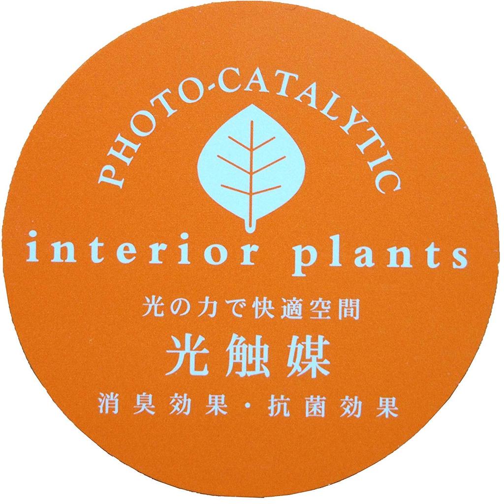 Kijapan Interior Green Artificial Plant with Photocatalytic Treatment, Sugar Vine, 26 x 20 x H17cm (MR)