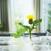 Hydroponic Floral Arrangement Holder Transparent Acrylic Desktop Decoration Multifunctional Container