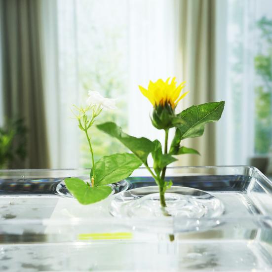 Hydroponic Floral Arrangement Holder Transparent Acrylic Desktop Decoration Multifunctional Container