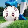 Kane9 Printed Size 5 Soccer Ball, Machine-Stitched PVC, Durable & High Bounce, All Ages Fit, fan merchandise, matches & outdoor use.
