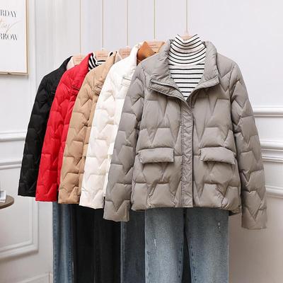 Chaquetas y abrigos – Abrigos