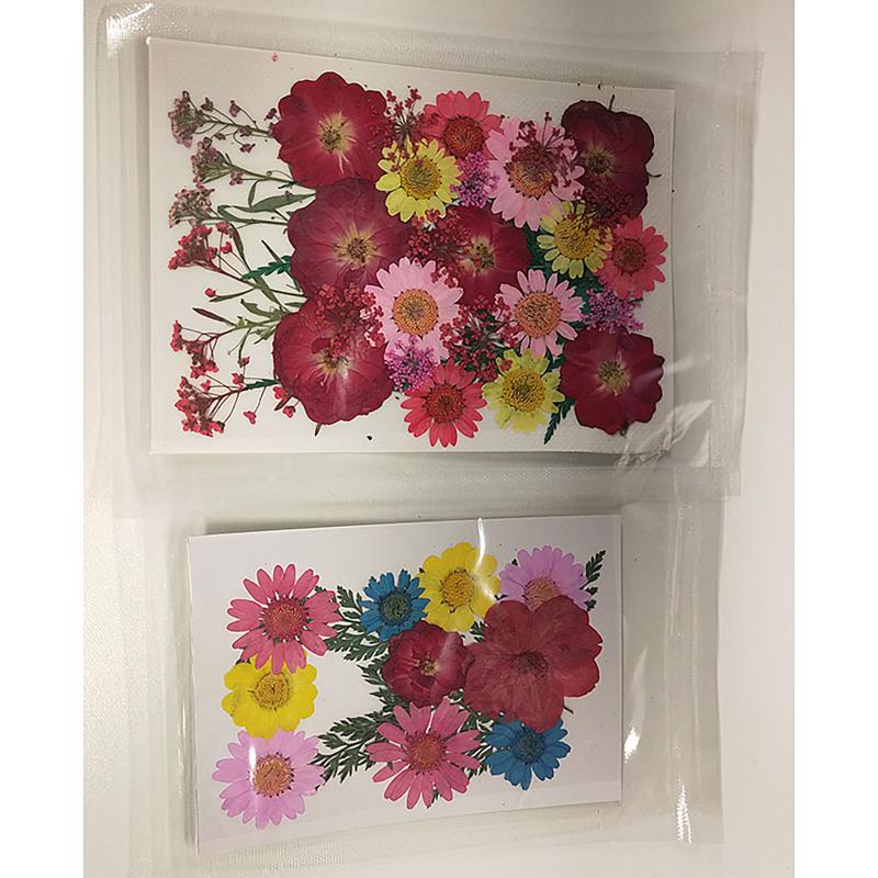 

2 упаковки мини-сушеных цветов, листья растений, набор искусственных натуральных цветов, украшение для дома, искусство