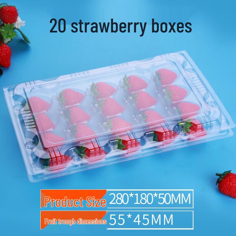 Disposable Plastic Strawberry Clamshell Container