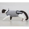 Breathable Cat Spay Recovery Suit Soft Cotton Anti Lick Surgical Garment For Post Surgery Wound Protection