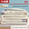 Jiuzhoulu Waffle Soy Fiber All-Season Quilt