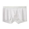 See Through Men Underwear Sexy Convex Boxers Transparent Soft Briefs