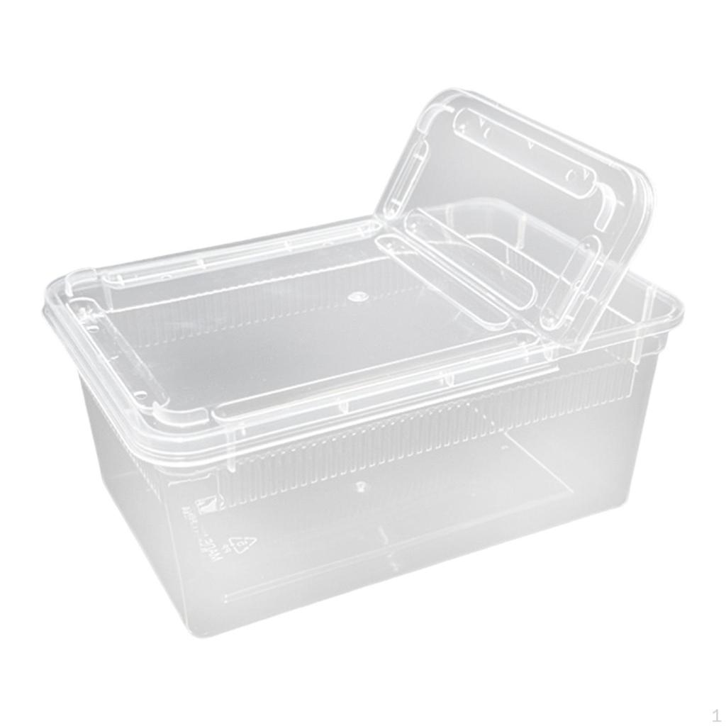 Feeding And Breeding Box for Reptiles with Lid Ventilation Holes, Mini, Transparent, Horned