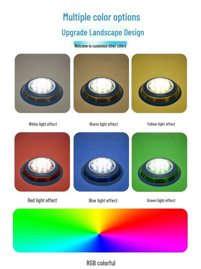 Stainless Steel Wall-Mounted Underwater LED Pool Light, 12V/24V, Remote Control