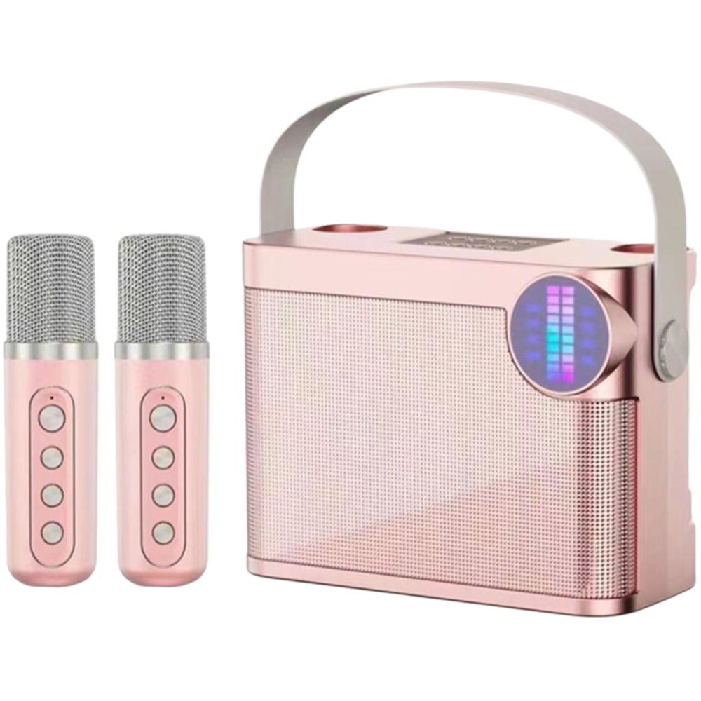 With Dual Microphone Karaoke Speaker Bluetooth 5.3 Wireless Microphone Speaker  Family Party
