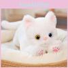 Cat Doll Plush Orange Cat Cloth Doll Cute Little Cat Healing Children Gift