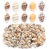 30g Sea Shell Beads 7-12mm Tiny Conch Spiral Shells Beads For Jewelry Making DIY Bracelet Necklace Pendants Keychain Accessories