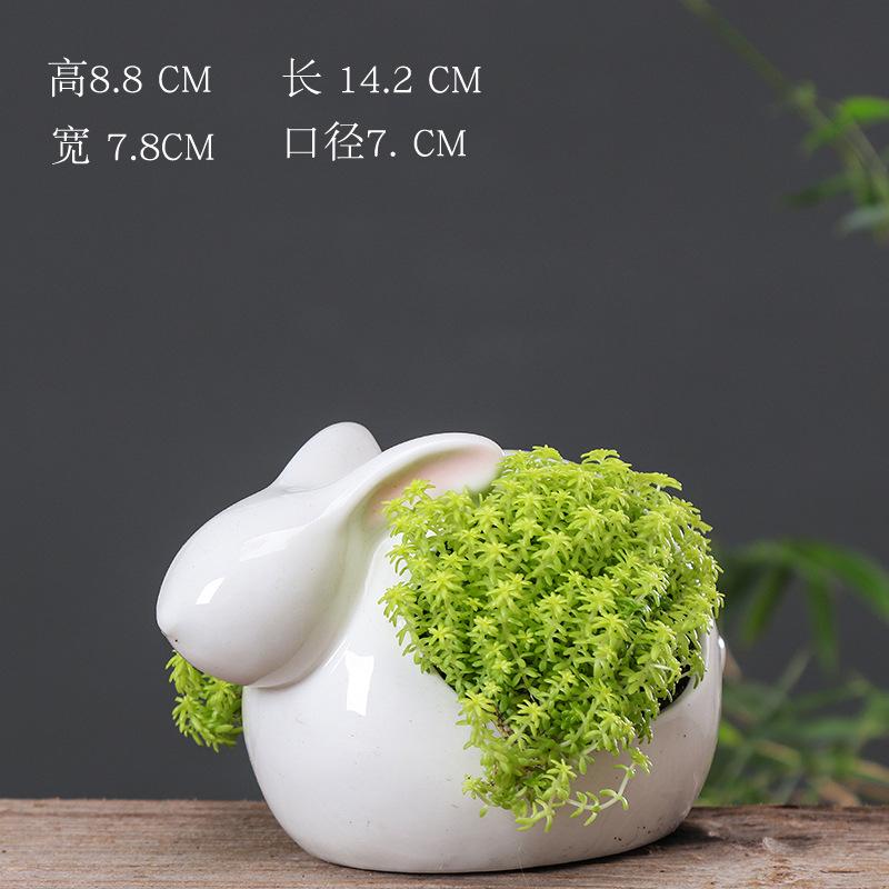 Creative Cartoon Rabbit Animal Succulent Flower Pot Gardening Office Desktop White Porcelain Flower Pot Ceramic Small as shown in the picture (excluding plants