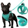 Köpek – Köpek Tasmaları ve Tasma Kayışları